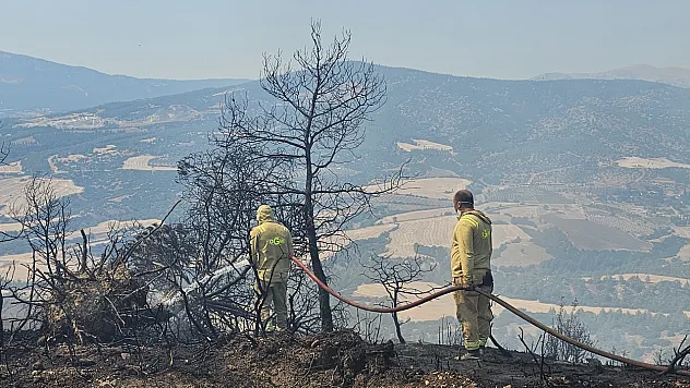 7 hektarlık alan zarar gördü
