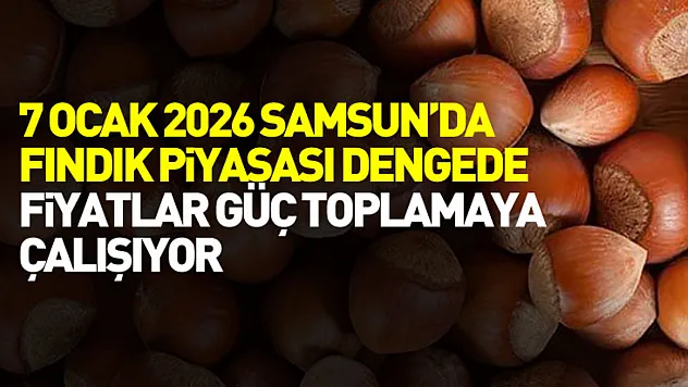 7 Ocak 2026 Samsun'da Fındık Piyasası Dengede: Fiyatlar Güç Toplamaya Çalışıyor