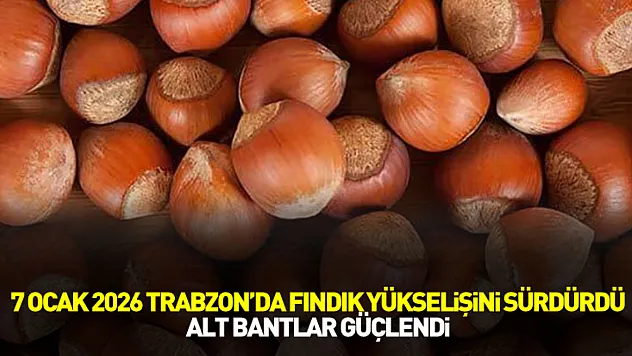 7 Ocak 2026 Trabzon'da Fındık Yükselişini Sürdürdü: Alt Bantlar Güçlendi