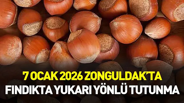 7 Ocak 2026 Zonguldak'ta Fındıkta Yukarı Yönlü Tutunma
