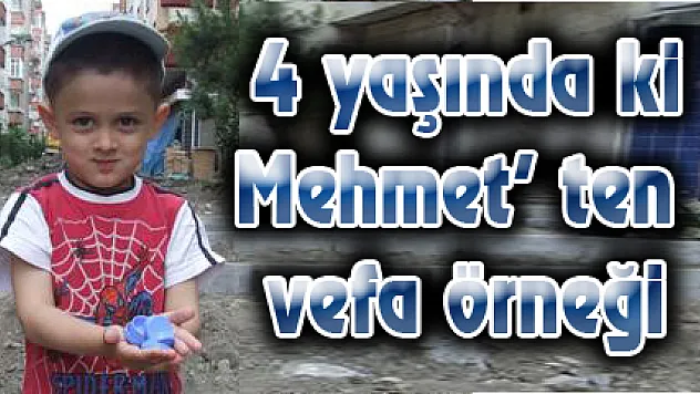 4 yaşında ki Mehmet' ten vefa örneği