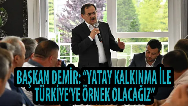 Başkan Demir: 'Yatay kalkınma ile Türkiye'ye örnek olacağız' 