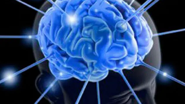 Dünya Beyin Günü'nde halka açık eğitim