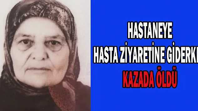 Hastaneye hasta ziyaretine giderken kazada öldü 