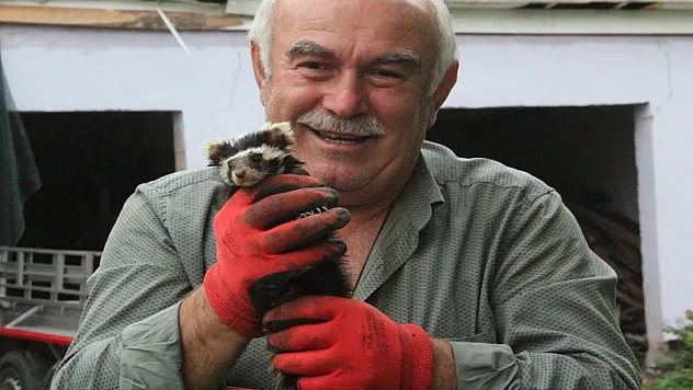 Nesli tehlike altında olan alacasansarları elleriyle besliyor 