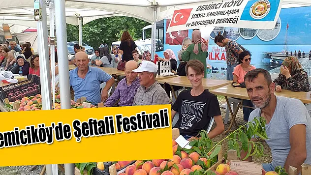 Demiciköy'de Şeftali Festivali 