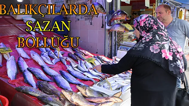 Balıkçılarda sazan bolluğu