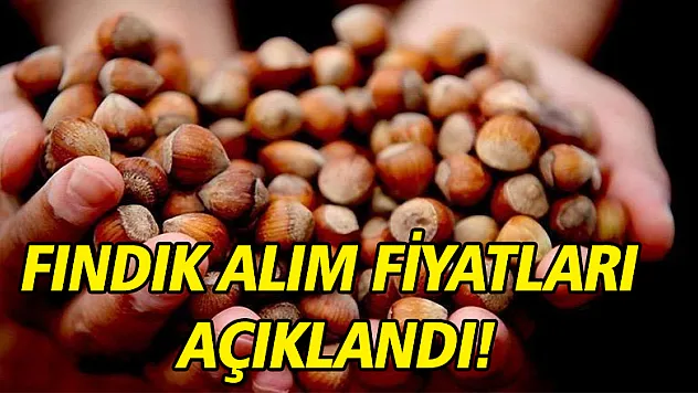 Fındık alım fiyatları açıklandı!