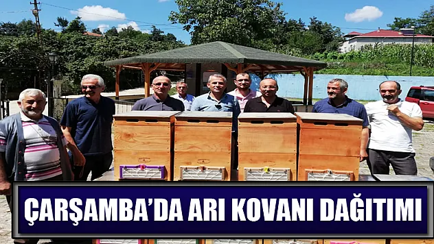 Çarşamba'da arı kovanı dağıtımı   