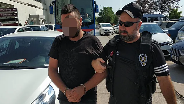 İstanbul'dan getirilen uyuşturucuyu narkotik köpeği buldu 