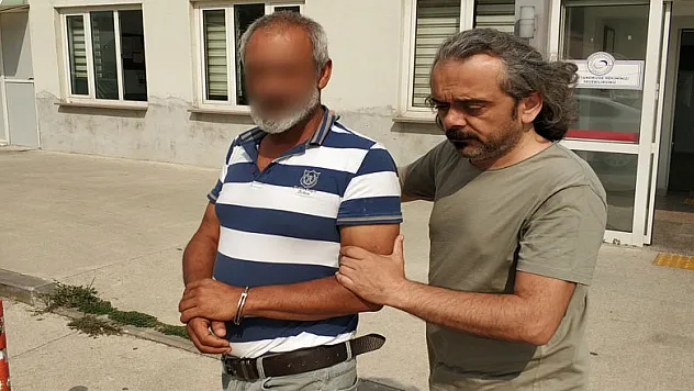 Evinde bonzai ele geçen şahıs tutuklandı 