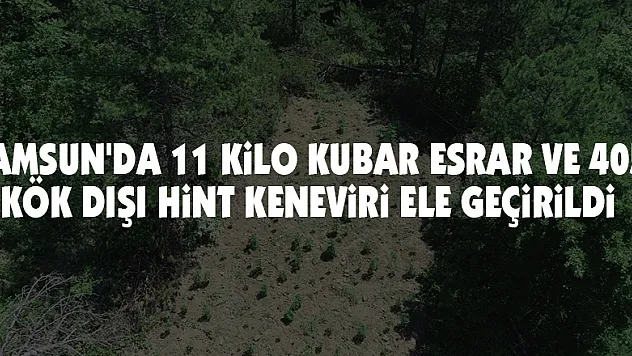 Samsun'da 11 kilo kubar esrar ve 405 kök dişi Hint keneviri ele geçirildi