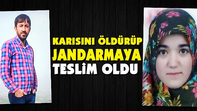 Karısını öldürüp jandarmaya teslim oldu