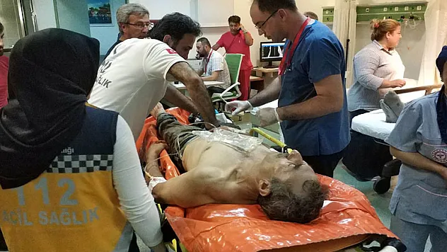 Acemi kasaplar hastanelik oldu