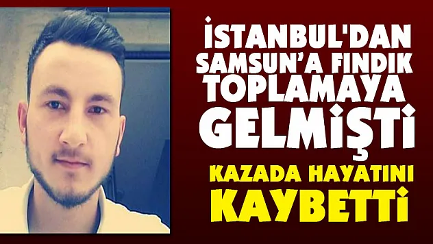 İstanbul'dan fındık toplamaya geldiği Samsun'da kazada hayatını kaybetti
