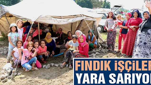 Fındık işçileri yara sarıyor