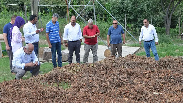 Üreticiler tapusuz fındık alanlarının çözüme kavuşmasını istiyor   