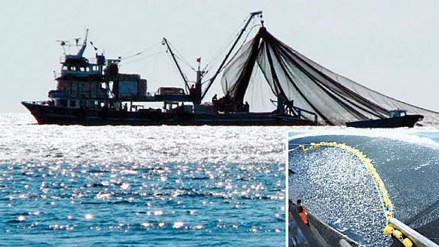 Denizlerde av yasağı sona eriyor 