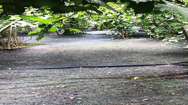 Bu yöntem maliyeti yüzde 70, karı yüzde 3 artırdı