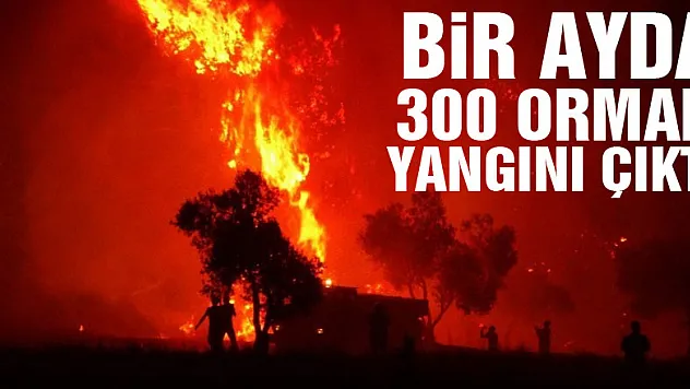 Bir ayda 300 orman yangını çıktı...Uzmanlar uyardı