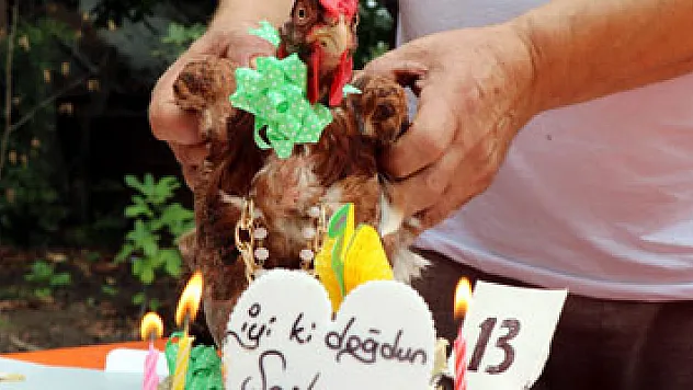 'Şaşkın'a gözyaşı