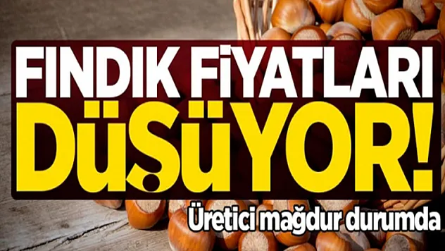 Fındık fiyatları neden düşüyor?