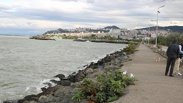 Denize düşen genci oltayla kurtardılar