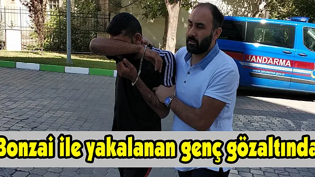 Bonzai ile yakalanan genç gözaltında