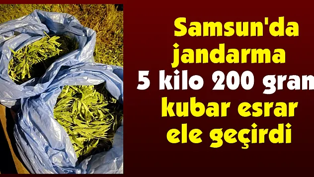  Samsun'da jandarma 5 kilo 200 gram kubar esrar ele geçirdi