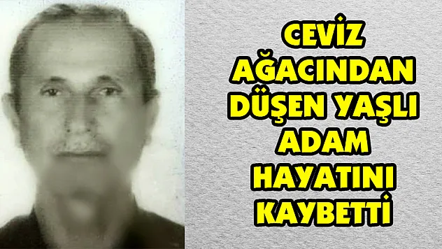 Ceviz ağacından düşen yaşlı adam hayatını kaybetti