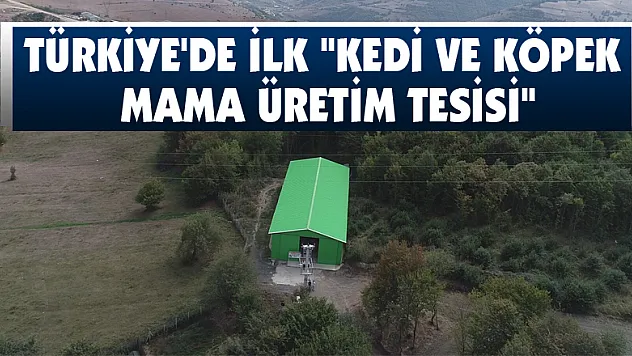 Türkiye'de ilk 'Kedi ve Köpek Mama Üretim Tesisi'