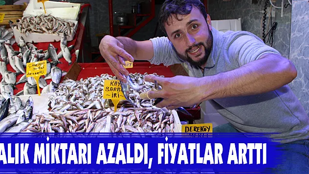 Balık miktarı azaldı, fiyatlar arttı