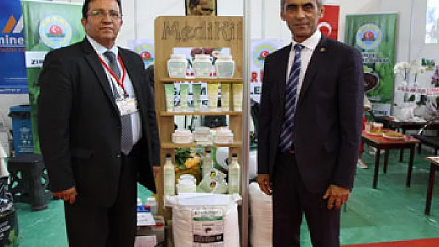 Fındıkta aflatoksin ve küllemeye doğal çözüm: 'Bentonit'