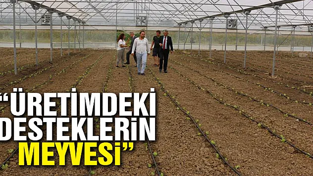 'ÜRETİMDEKİ DESTEKLERİN MEYVESİ'