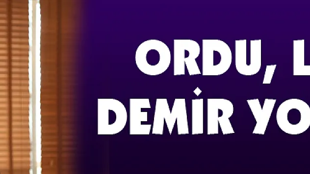 Ordu, liman ve demir yolu istiyor