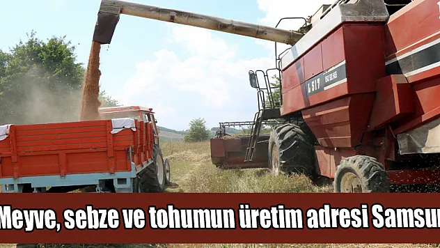 Meyve, sebze ve tohumun üretim adresi Samsun