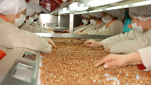 Ordu'dan 8 ayda 150 milyon dolarlık ihracat