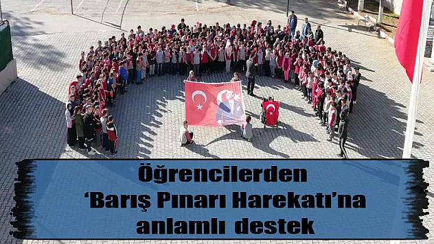 Öğrencilerden 'Barış Pınarı Harekatı'na anlamlı destek