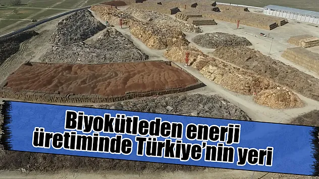 Biyokütleden enerji üretiminde Türkiye'nin yeri