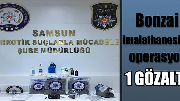 Samsun'da bonzai imalathanesine operasyon: 1 gözaltı