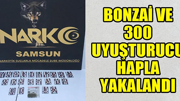 Bonzai ve 300 uyuşturucu hapla yakalandı