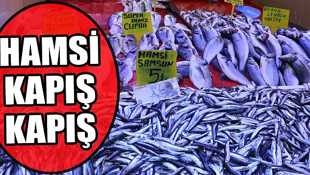 Samsun'da kilosu 5 liraya düşen hamsi kapış kapış
