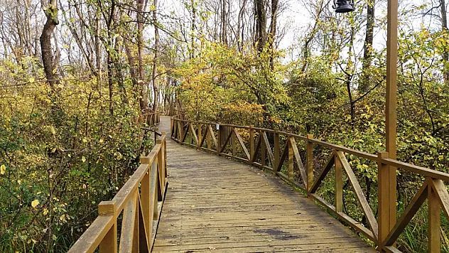 Samsun'da sonbahar güzelliği