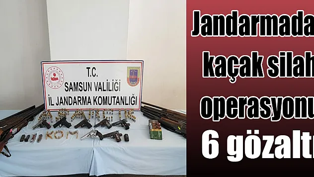 Samsun'da jandarmadan kaçak silah operasyonu: 6 gözaltı