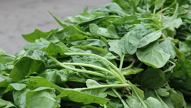 İstanbul İl Tarım ve Orman Müdürlüğünden ıspanak zehirlenmelerine ilişkin açıklama