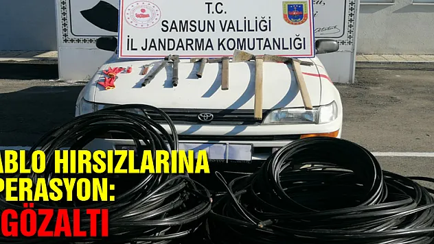 Samsun'da jandarmadan kablo hırsızlarına operasyon: 3 gözaltı