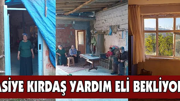 Asiye Kırdaş yardım eli bekliyor