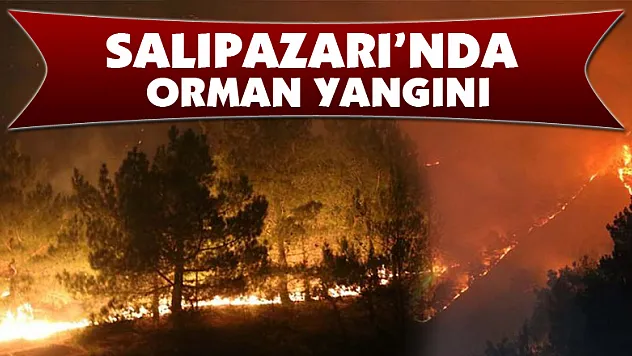 Salıpazarı'nda orman yangını