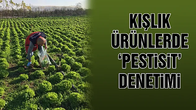 Kışlık ürünlerde 'pestisit' denetimi
