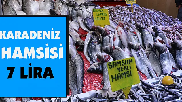 Karadeniz hamsisi 7 lira